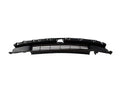LOWER GRILLE FRONT FASCIA 1694311-00-F Fit Teals Model 3 Highland